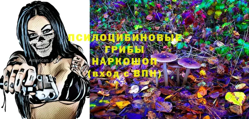 цена   мориарти клад  Псилоцибиновые грибы Psilocybine cubensis  Калач 